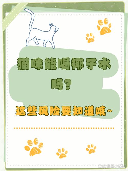 猫咪能吃椰子吗,猫咪可以吃椰子片嘛?-第4张图片-后鲨宠物 猫咪能吃椰子吗,猫咪可以吃椰子片嘛?-第4张图片-后鲨宠物