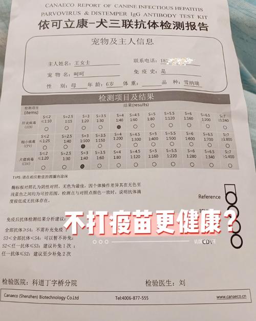  狗狗查抗体多少钱，狗狗查抗体多少钱一次