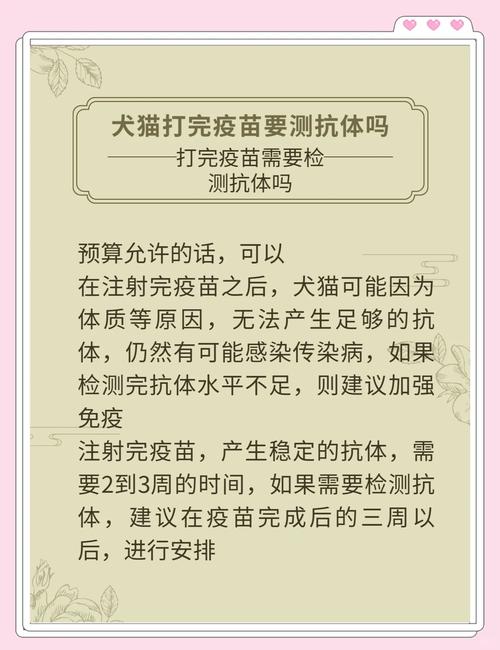 狗狗查抗体多少钱,狗狗查抗体多少钱一次-第2张图片-后鲨宠物 狗狗查抗体多少钱,狗狗查抗体多少钱一次-第2张图片-后鲨宠物