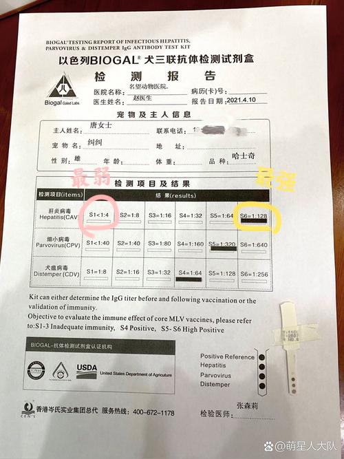 狗狗查抗体多少钱,狗狗查抗体多少钱一次-第4张图片-后鲨宠物 狗狗查抗体多少钱,狗狗查抗体多少钱一次-第4张图片-后鲨宠物