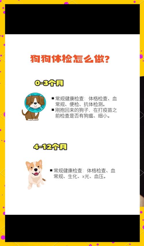 狗狗查抗体多少钱,狗狗查抗体多少钱一次-第6张图片-后鲨宠物 狗狗查抗体多少钱,狗狗查抗体多少钱一次-第6张图片-后鲨宠物