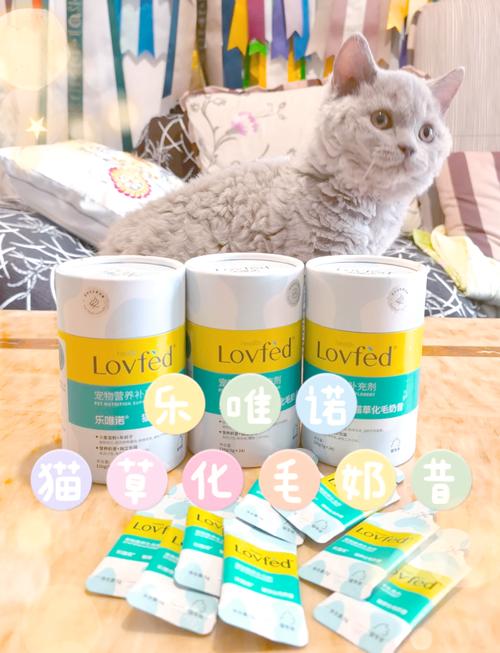 猫咪化毛吃什么,猫咪化毛吃什么比较好?倔强嘴巴?-第2张图片-后鲨宠物 猫咪化毛吃什么,猫咪化毛吃什么比较好?倔强嘴巴?-第2张图片-后鲨宠物
