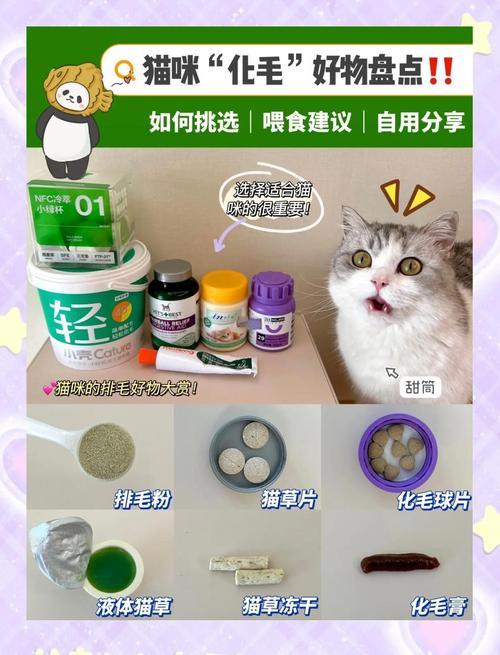 猫咪化毛吃什么,猫咪化毛吃什么比较好?倔强嘴巴?-第3张图片-后鲨宠物 猫咪化毛吃什么,猫咪化毛吃什么比较好?倔强嘴巴?-第3张图片-后鲨宠物