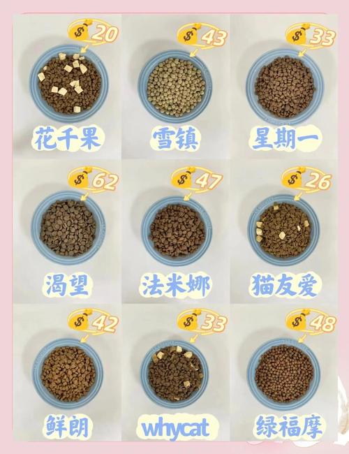 幼猫吃成猫猫粮_幼猫吃成猫猫粮会拉稀吗-第5张图片-后鲨宠物