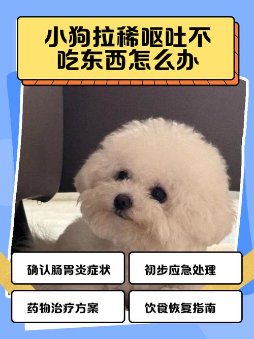 狗狗拉稀不吐是细小吗,狗只拉稀不呕吐会是细小么-第2张图片-后鲨宠物 狗狗拉稀不吐是细小吗,狗只拉稀不呕吐会是细小么-第2张图片-后鲨宠物