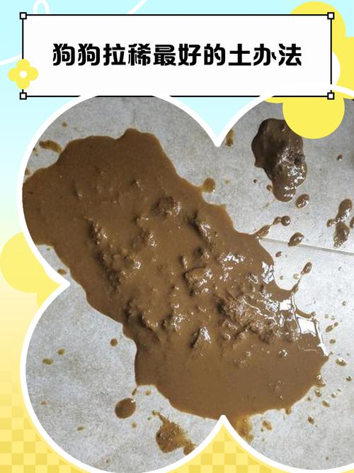 狗狗拉稀不吐是细小吗,狗只拉稀不呕吐会是细小么-第4张图片-后鲨宠物 狗狗拉稀不吐是细小吗,狗只拉稀不呕吐会是细小么-第4张图片-后鲨宠物