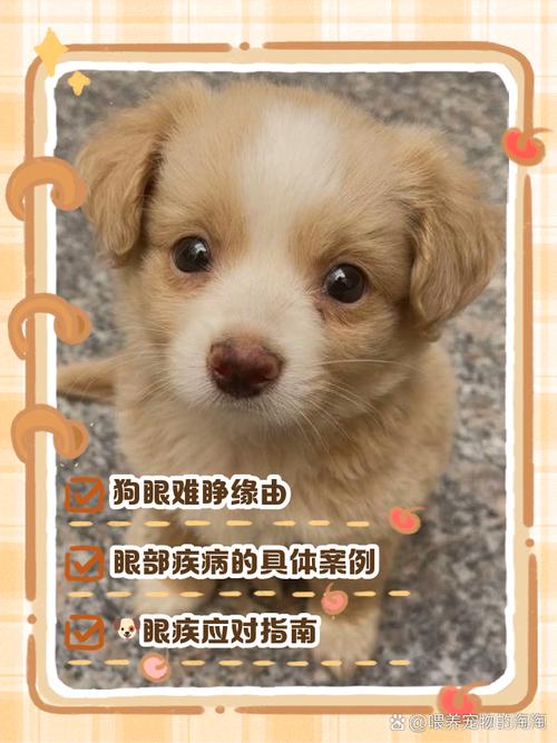 狗狗多少天睁眼,狗狗多少天睁眼睛,自己会睁开吗-第4张图片-后鲨宠物 狗狗多少天睁眼,狗狗多少天睁眼睛,自己会睁开吗-第4张图片-后鲨宠物