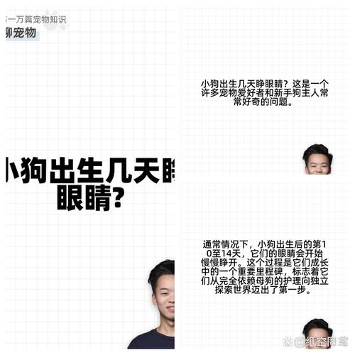 狗狗多少天睁眼,狗狗多少天睁眼睛,自己会睁开吗-第6张图片-后鲨宠物 狗狗多少天睁眼,狗狗多少天睁眼睛,自己会睁开吗-第6张图片-后鲨宠物