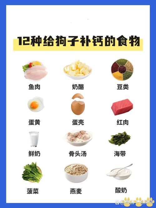 狗狗能吃炼乳吗,有炼乳的羊奶狗狗能吃吗-第2张图片-后鲨宠物 狗狗能吃炼乳吗,有炼乳的羊奶狗狗能吃吗-第2张图片-后鲨宠物
