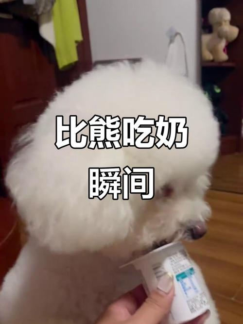 狗狗能吃炼乳吗,有炼乳的羊奶狗狗能吃吗-第4张图片-后鲨宠物 狗狗能吃炼乳吗,有炼乳的羊奶狗狗能吃吗-第4张图片-后鲨宠物