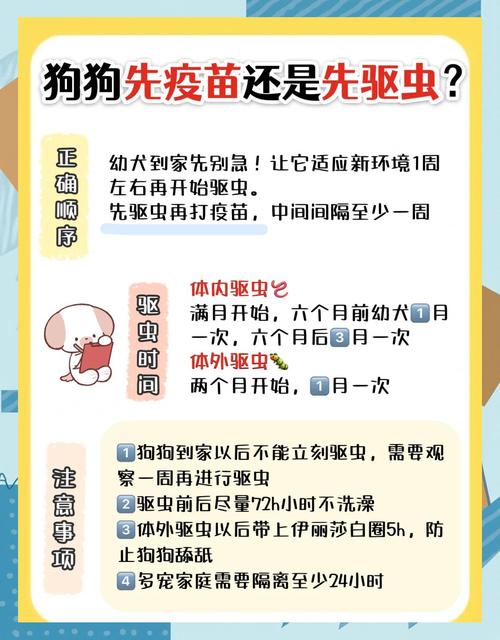 狗狗多长时间驱虫，比熊多长时间驱虫一次？-第3张图片-后鲨宠物