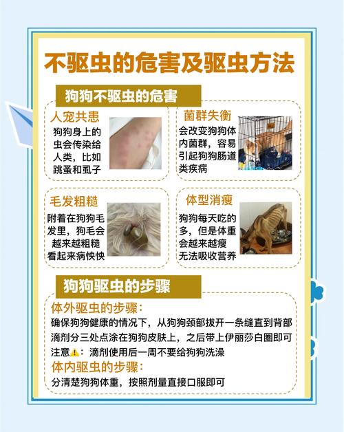 狗狗多长时间驱虫，比熊多长时间驱虫一次？-第4张图片-后鲨宠物