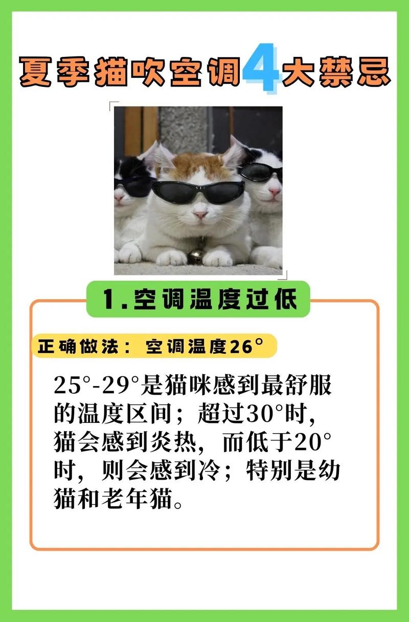 猫咪夏天能吹空调吗,猫夏天可以吹风扇吗?-第3张图片-后鲨宠物 猫咪夏天能吹空调吗,猫夏天可以吹风扇吗?-第3张图片-后鲨宠物