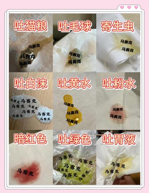 猫咪拉水便怎么办_猫猫拉水是什么原因-第1张图片-后鲨宠物 猫咪拉水便怎么办_猫猫拉水是什么原因-第1张图片-后鲨宠物