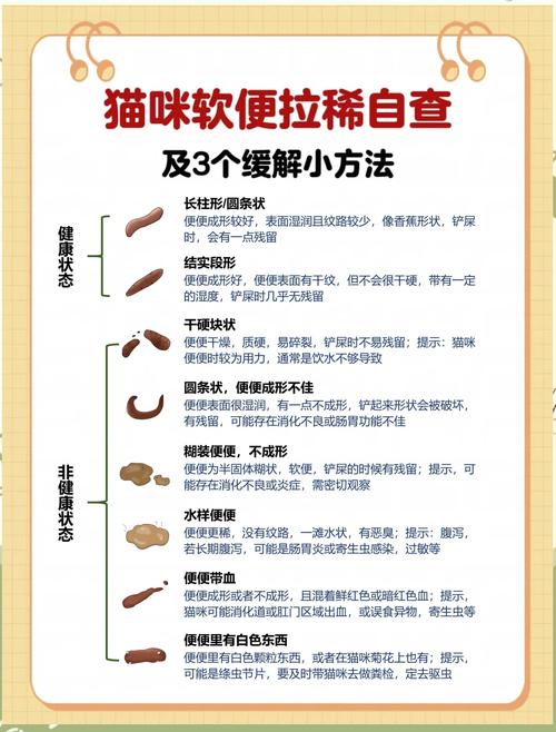 猫咪拉水便怎么办_猫猫拉水是什么原因-第4张图片-后鲨宠物 猫咪拉水便怎么办_猫猫拉水是什么原因-第4张图片-后鲨宠物