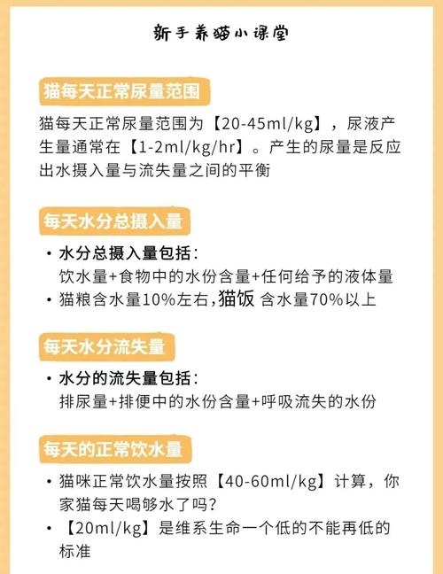 猫咪一天喝水量,猫咪每天喝水量是多少-第4张图片-后鲨宠物 猫咪一天喝水量,猫咪每天喝水量是多少-第4张图片-后鲨宠物