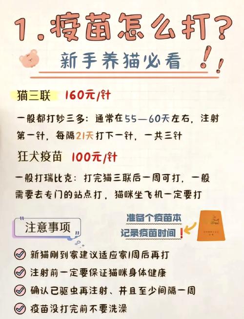 猫猫打疫苗多少钱一针,猫猫打疫苗一共要多少钱-第3张图片-后鲨宠物 猫猫打疫苗多少钱一针,猫猫打疫苗一共要多少钱-第3张图片-后鲨宠物