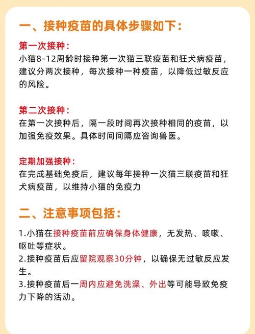 猫猫打疫苗多少钱一针,猫猫打疫苗一共要多少钱-第5张图片-后鲨宠物 猫猫打疫苗多少钱一针,猫猫打疫苗一共要多少钱-第5张图片-后鲨宠物