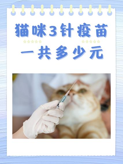 猫猫打疫苗多少钱一针,猫猫打疫苗一共要多少钱-第6张图片-后鲨宠物 猫猫打疫苗多少钱一针,猫猫打疫苗一共要多少钱-第6张图片-后鲨宠物