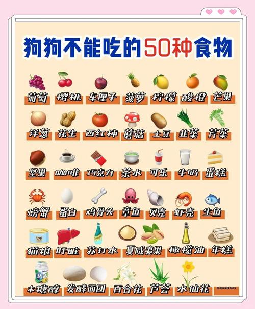 狗狗绝对不能吃的东西，狗狗绝对不可以吃的东西？-第5张图片-后鲨宠物