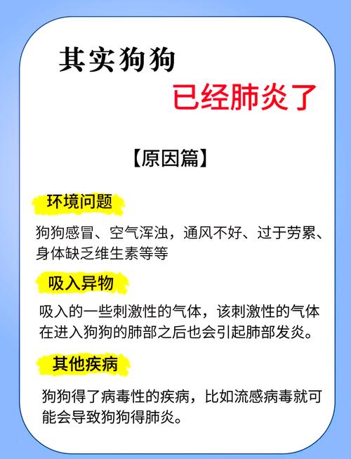 狗狗呼吸道感染怎么治，狗狗呼吸道感染怎么治疗？-第3张图片-后鲨宠物