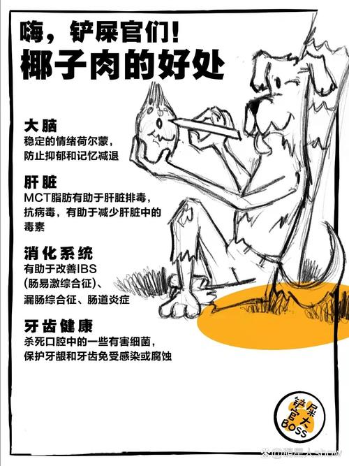 狗狗可以吃椰子肉吗_小狗能吃椰子肉吗-第4张图片-后鲨宠物 狗狗可以吃椰子肉吗_小狗能吃椰子肉吗-第4张图片-后鲨宠物