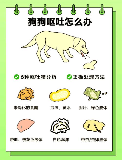 狗狗呕吐有虫子怎么办_狗狗呕吐物有虫子-第4张图片-后鲨宠物 狗狗呕吐有虫子怎么办_狗狗呕吐物有虫子-第4张图片-后鲨宠物