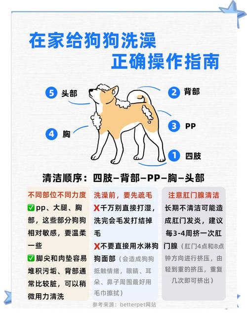 狗狗感冒可以洗澡吗_狗狗感冒可以洗澡吗冬天