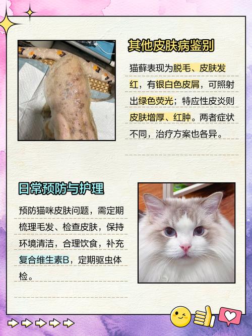 猫咪脖子上有疙瘩结痂,猫咪脖子上有疙瘩结痂掉毛?-第5张图片-后鲨宠物 猫咪脖子上有疙瘩结痂,猫咪脖子上有疙瘩结痂掉毛?-第5张图片-后鲨宠物