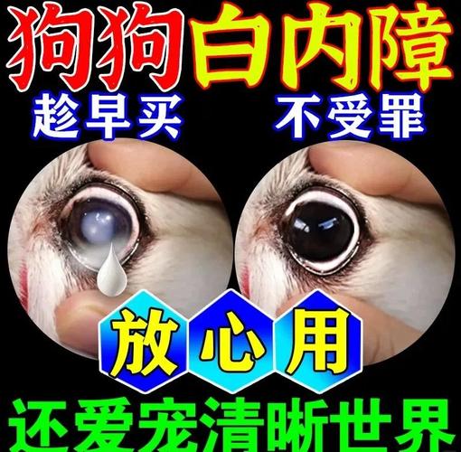 狗狗可以用人的眼药水吗，狗狗用的眼药水有哪些？