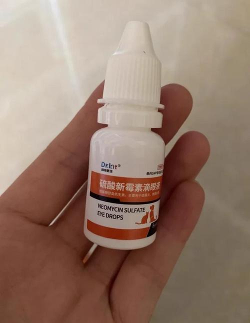 狗狗可以用人的眼药水吗，狗狗用的眼药水有哪些？-第3张图片-后鲨宠物
