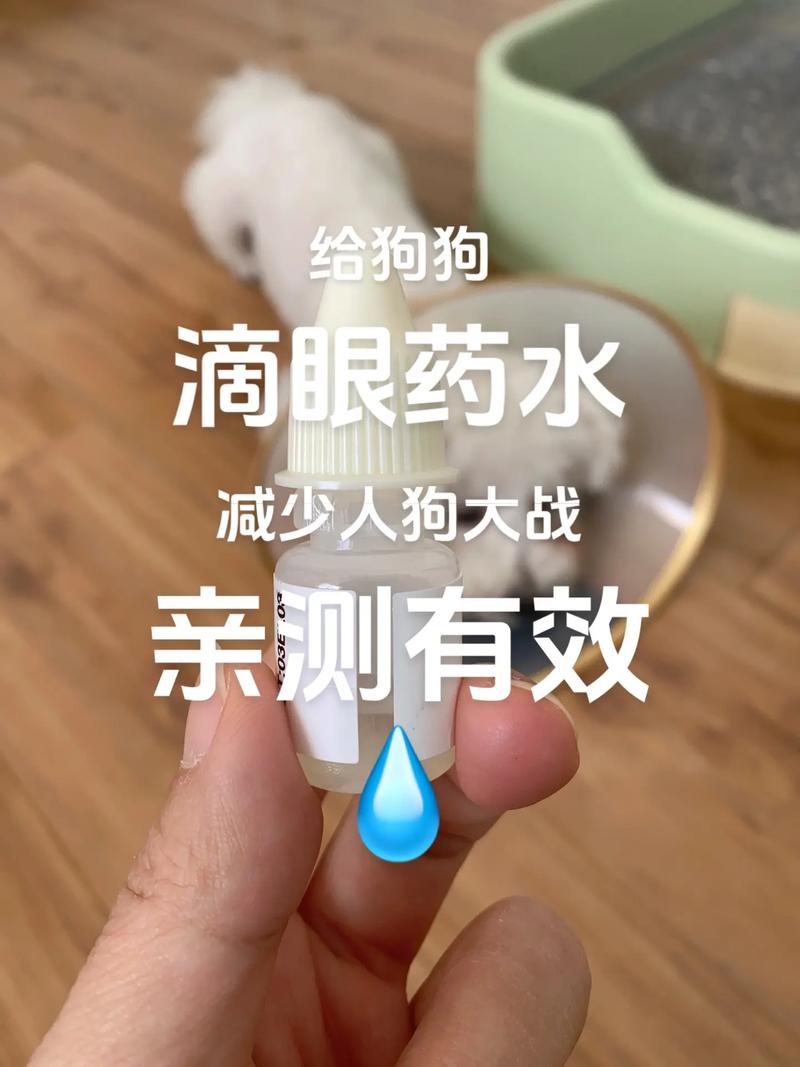 狗狗可以用人的眼药水吗，狗狗用的眼药水有哪些？-第4张图片-后鲨宠物