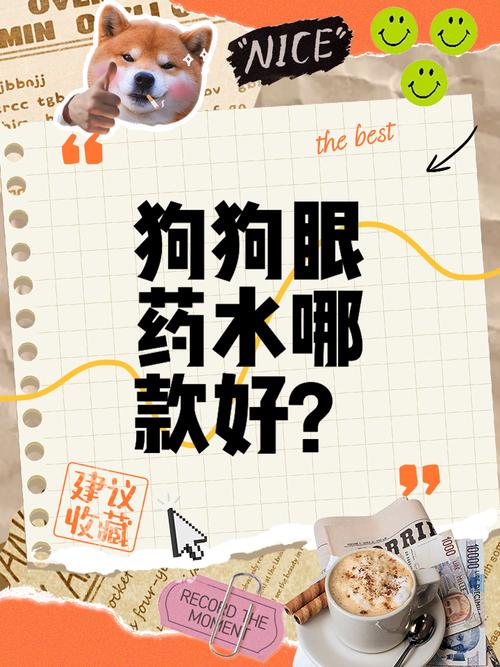 狗狗可以用人的眼药水吗，狗狗用的眼药水有哪些？-第5张图片-后鲨宠物