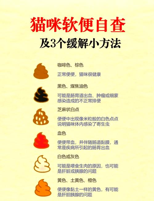 猫咪拉稀是什么原因_猫咪拉稀是什么原因?-第3张图片-后鲨宠物 猫咪拉稀是什么原因_猫咪拉稀是什么原因?-第3张图片-后鲨宠物