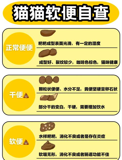 猫咪拉稀是什么原因_猫咪拉稀是什么原因?-第5张图片-后鲨宠物 猫咪拉稀是什么原因_猫咪拉稀是什么原因?-第5张图片-后鲨宠物