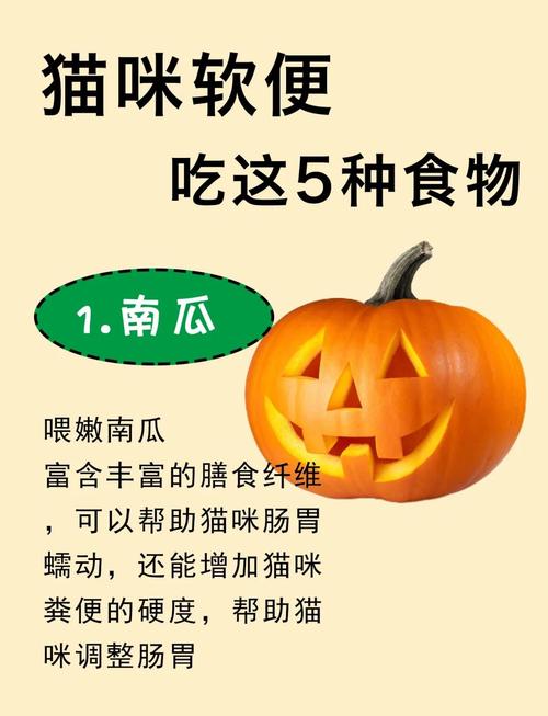 猫咪软便吃什么_猫咪软便是什么原因造成的-第4张图片-后鲨宠物