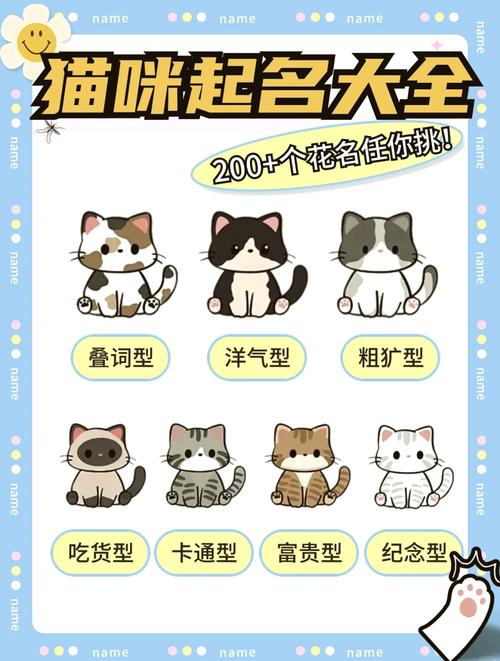 给猫咪取什么名字好听,给猫咪取什么名字好听灰色的?-第5张图片-后鲨宠物 给猫咪取什么名字好听,给猫咪取什么名字好听灰色的?-第5张图片-后鲨宠物