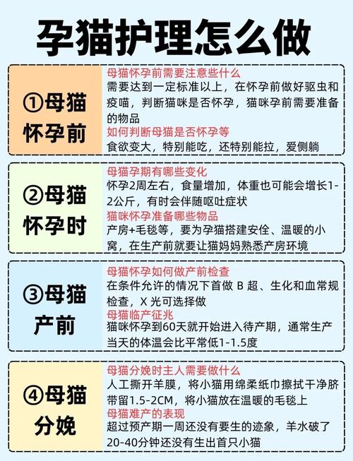 猫咪怀孕注意事项,猫怀孕时注意事项?-第4张图片-后鲨宠物 猫咪怀孕注意事项,猫怀孕时注意事项?-第4张图片-后鲨宠物
