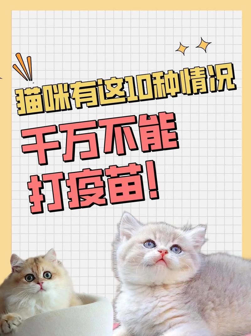 猫咪用不用打疫苗_猫用打疫苗吗-第3张图片-后鲨宠物 猫咪用不用打疫苗_猫用打疫苗吗-第3张图片-后鲨宠物