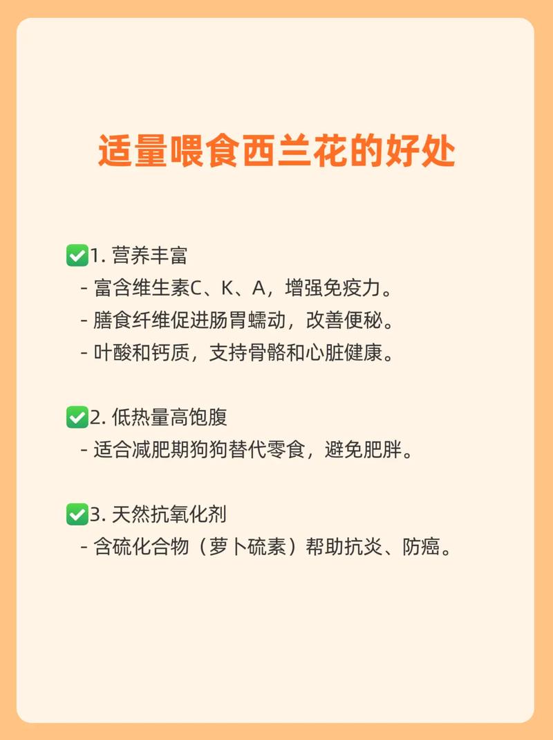  狗狗吃西兰花的好处，狗 吃西兰花
