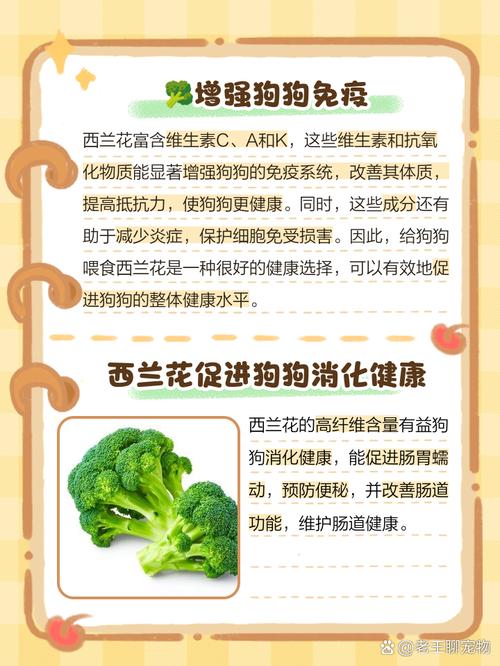 狗狗吃西兰花的好处,狗 吃西兰花-第4张图片-后鲨宠物 狗狗吃西兰花的好处,狗 吃西兰花-第4张图片-后鲨宠物