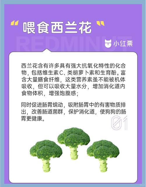 狗狗吃西兰花的好处,狗 吃西兰花-第5张图片-后鲨宠物 狗狗吃西兰花的好处,狗 吃西兰花-第5张图片-后鲨宠物