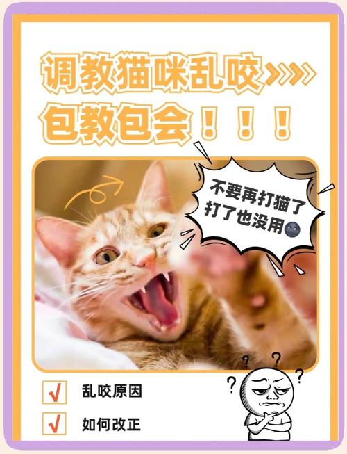 猫咪乱吃东西怎么办,猫咪总是乱吃东西?-第2张图片-后鲨宠物 猫咪乱吃东西怎么办,猫咪总是乱吃东西?-第2张图片-后鲨宠物