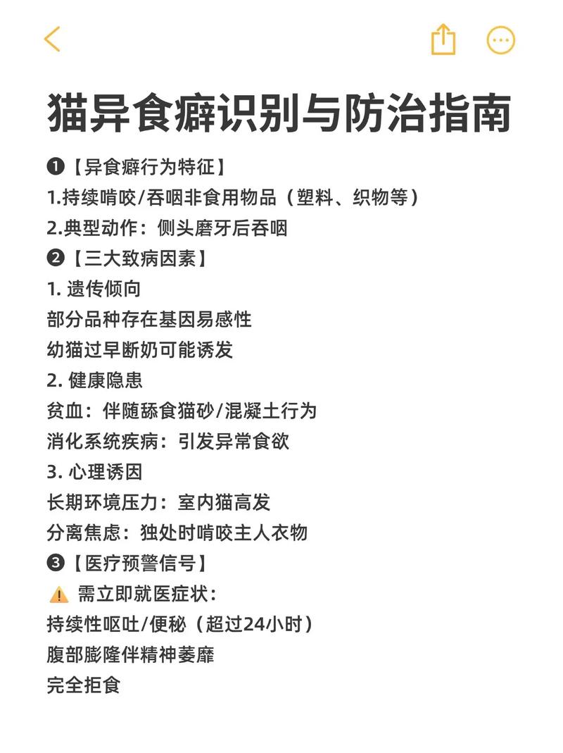 猫咪乱吃东西怎么办,猫咪总是乱吃东西?-第5张图片-后鲨宠物 猫咪乱吃东西怎么办,猫咪总是乱吃东西?-第5张图片-后鲨宠物