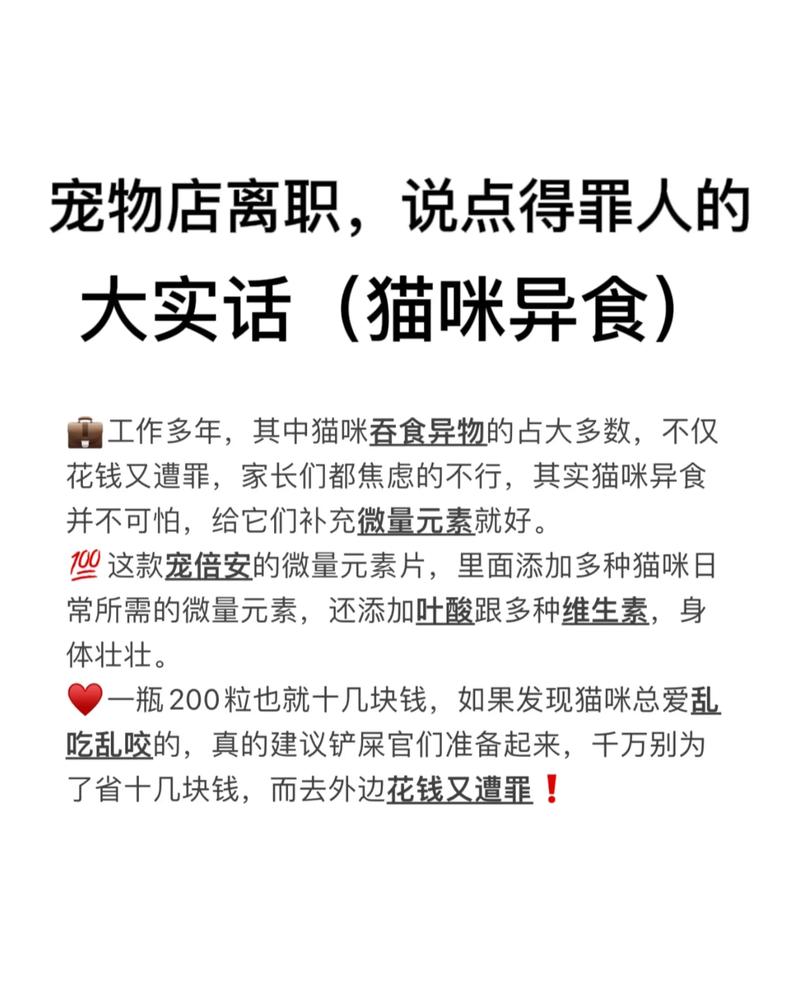 猫咪乱吃东西怎么办,猫咪总是乱吃东西?-第6张图片-后鲨宠物 猫咪乱吃东西怎么办,猫咪总是乱吃东西?-第6张图片-后鲨宠物