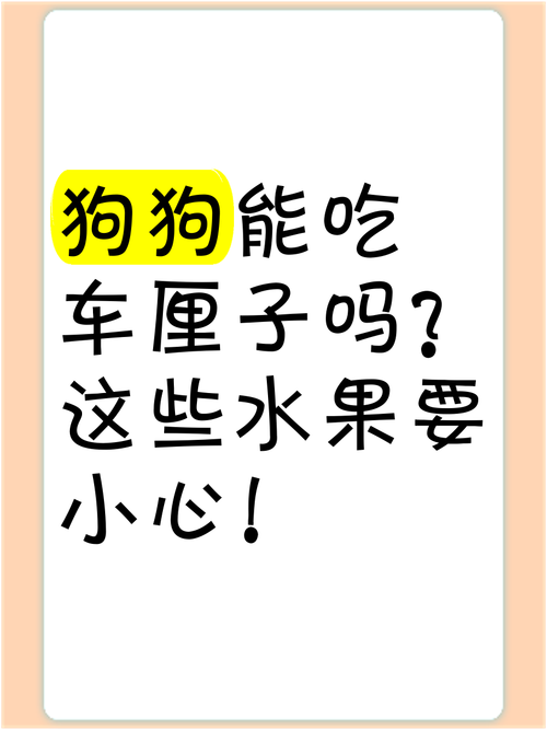 狗狗可以吃车厘子吗,狗狗能吃车厘子?-第2张图片-后鲨宠物 狗狗可以吃车厘子吗,狗狗能吃车厘子?-第2张图片-后鲨宠物