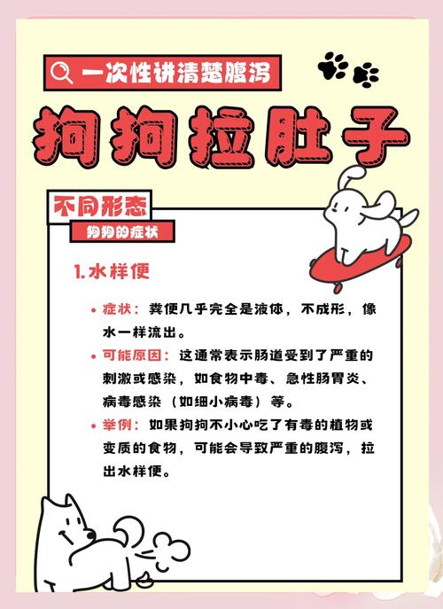 狗狗拉肚子是什么原因_狗狗连拉带吐是怎么回事