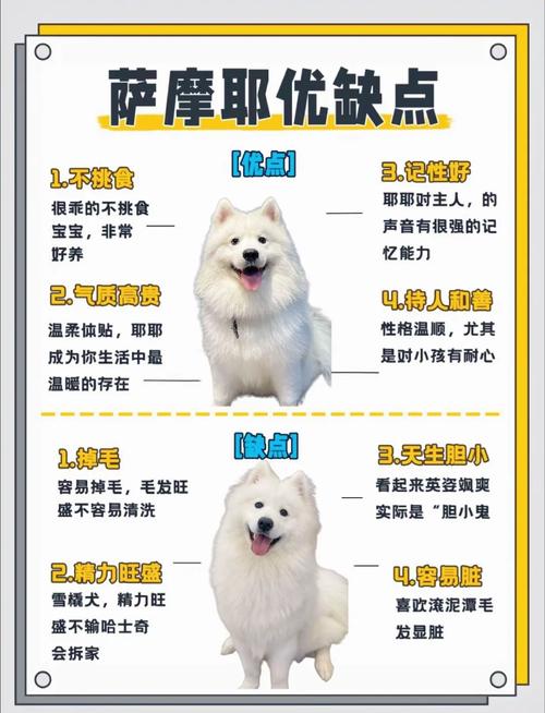 狗狗拉肚子是什么原因_狗狗连拉带吐是怎么回事-第5张图片-后鲨宠物 狗狗拉肚子是什么原因_狗狗连拉带吐是怎么回事-第5张图片-后鲨宠物