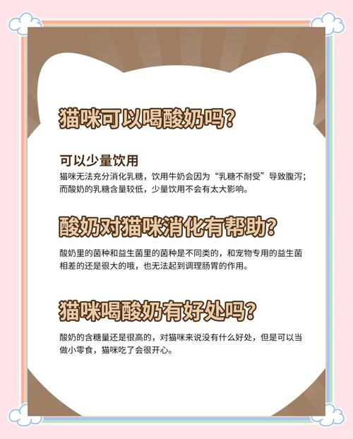 小猫咪可以喝酸奶吗,小猫能喝酸奶不?-第1张图片-后鲨宠物 小猫咪可以喝酸奶吗,小猫能喝酸奶不?-第1张图片-后鲨宠物