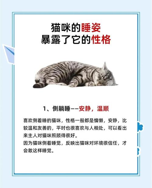 猫咪的睡姿代表了什么,猫咪的各种睡姿代表什么?-第2张图片-后鲨宠物 猫咪的睡姿代表了什么,猫咪的各种睡姿代表什么?-第2张图片-后鲨宠物
